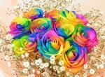 rainbowrose10kasumi300220