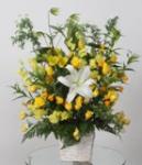 e5ae9de98592e980a01101efbc92efbc98