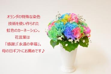 母の日でレインボーカーネーションのご注文を頂きました。｜「花恭」　（東京都台東区の花キューピット加盟店 花屋）のブログ