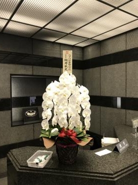 台東区東上野の会社様にお祝いの胡蝶蘭をお届けしました。｜「花恭」　（東京都台東区の花キューピット加盟店 花屋）のブログ