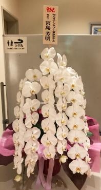衆議院会館に大臣就任の前祝で胡蝶蘭をお届けしました。｜「花恭」　（東京都台東区の花キューピット加盟店 花屋）のブログ